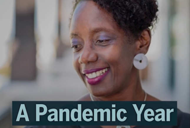 A Pandemic Year in Reflection