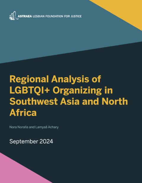 Regional Analysis of LGBTQI+ Organizing in Southwest Asia and North Africa