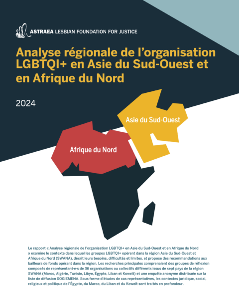 Points saillants : Analyse régionale de l’organisation LGBTQI+ en Asie du Sud-Ouest et en Afrique du Nord