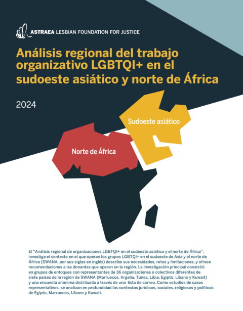 Destacados: Análisis regional del trabajo organizativo LGBTQI+ en el sudoeste asiático y norte de África